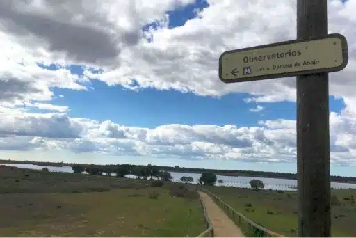 Senderismo Sevilla: mejores rutas y cuidado del medio ambiente 8 Dehesa de Abajo Puebla