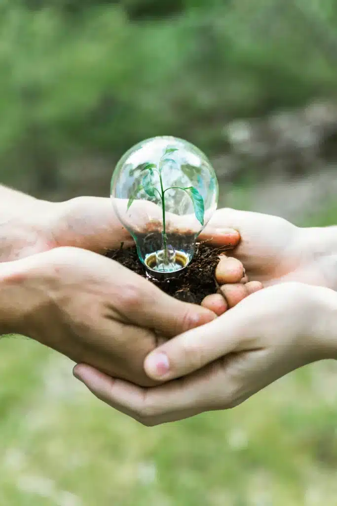 Seguridad y medio ambiente 1 que es la familia profesional de seguridad y medio ambiente