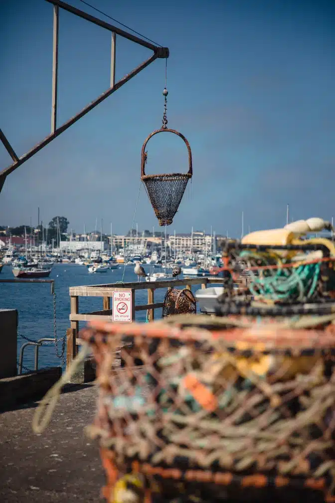 Maritimo pesquera 1 que es la familia profesional maritimo pesquera