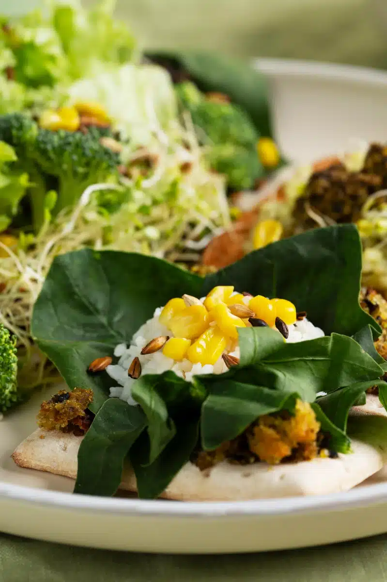 Veganismo: explicado sin mitos ni leyendas 2 que es veganismo