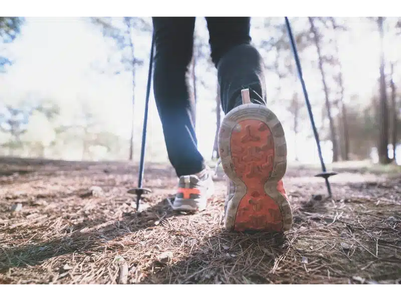 Senderismo Sevilla: mejores rutas y cuidado del medio ambiente 2 rutas senderismo sevilla