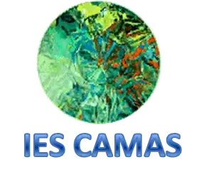 Convenios con Centros FP 5 IES-CAMAS_logo