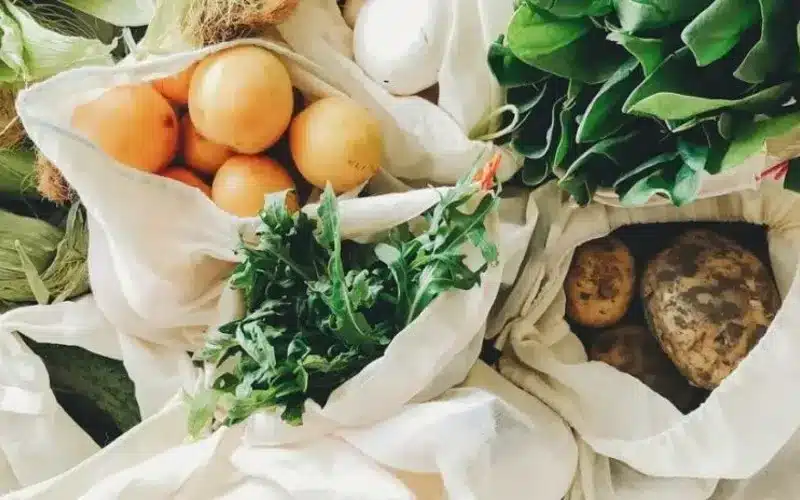 3 errores de calidad alimentaria en fábricas que las ponen en riesgo 4 Representación alimentación sostenible