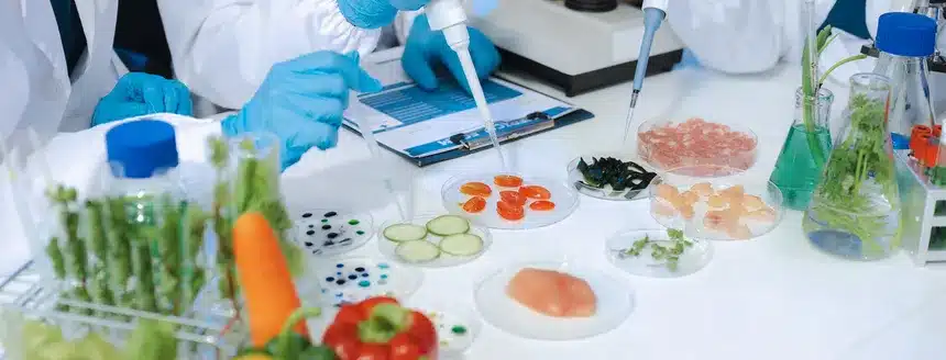 Cientificos revisando alimentos