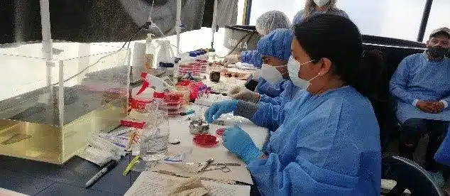 Cómo montar una piscifactoría en España : Trámites y normativas clave 5 Control Sanitario en Pesca