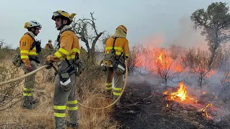 Incendios en España: Las 5 provincias en riesgo 2 incendios en España