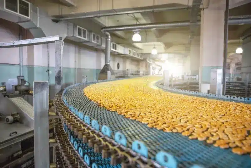 3 errores de calidad alimentaria en fábricas que las ponen en riesgo 5 Industria alimentos