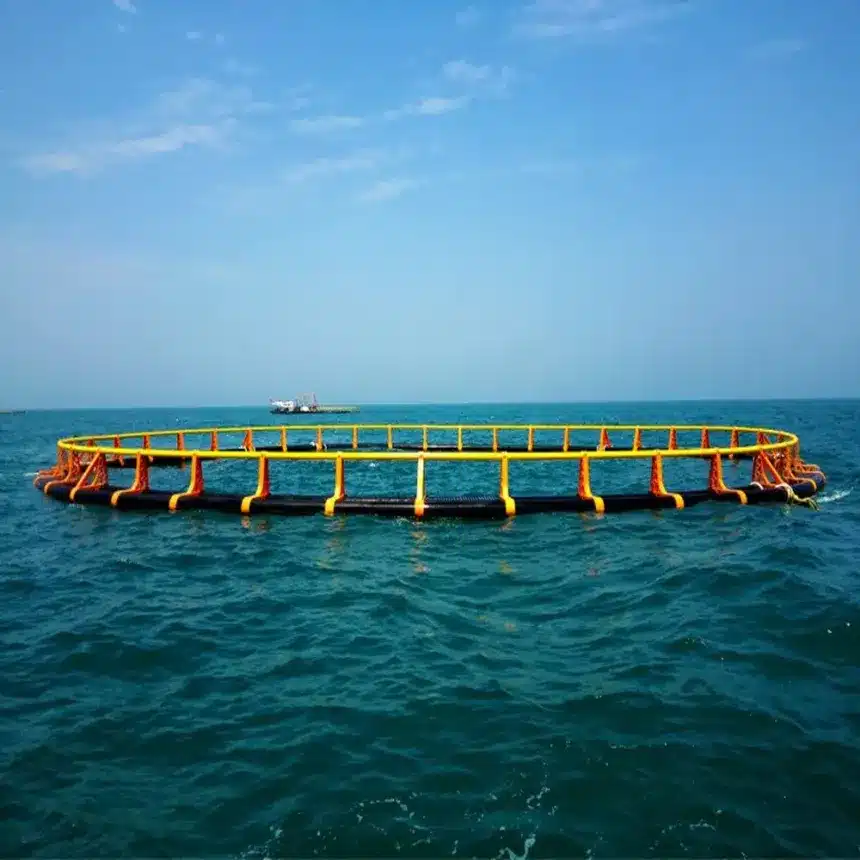 Cómo montar una piscifactoría en España : Trámites y normativas clave 4 Jaula Flotante en el Mar