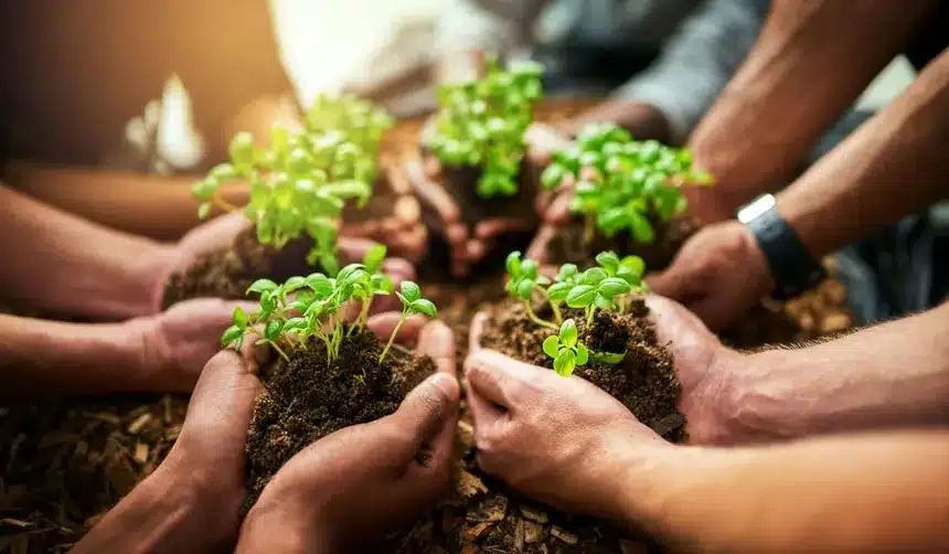 Las 4 tendencias más rentables en jardinería sostenible y viveros 2 jardinería sostenible representación