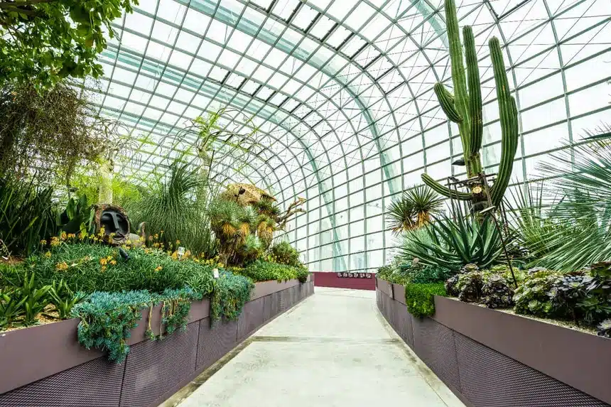 Las 4 tendencias más rentables en jardinería sostenible y viveros 6 Paisajismo regenerativo en interiores