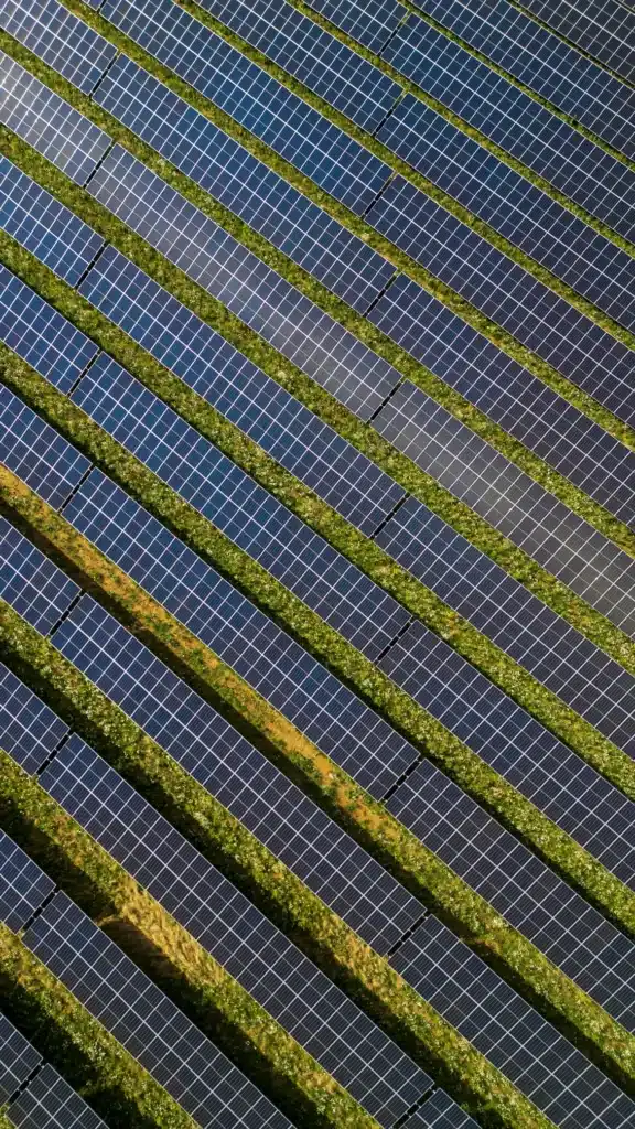 Placas fotovoltaicas 2026: 9 claves imprescindibles para entender la energía solar 6 Placas fotovoltaicas