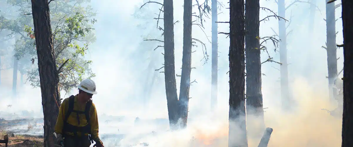 Gestión forestal y del medio natural: 7 claves para avanzar 8 Bombero forestal realiza una quema prescrita en un bosque con humo