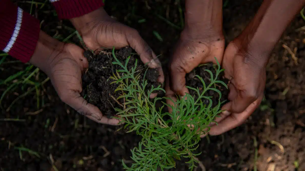 Educación ambiental: qué es, ejemplos y salidas profesionales 4 Dos personas plantan una pequeña planta durante una acción comunitaria
