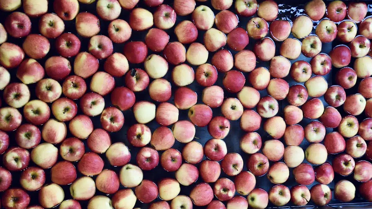 Seguridad alimentaria: controles y medidas para garantizar la calidad de los alimentos 2 Manzanas rojas y amarillas circulan por una línea de procesamiento industrial