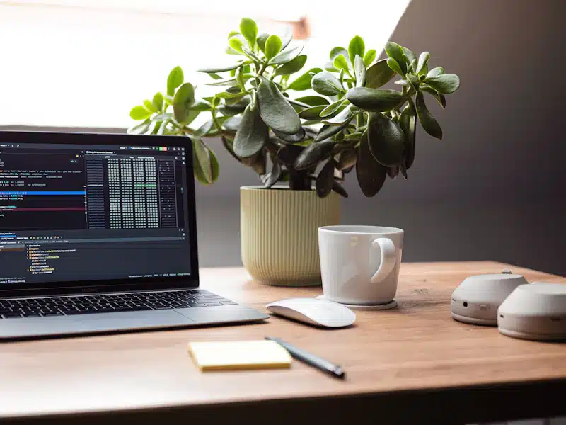 Inteligencia artificial: qué es, cómo funciona y cómo transforma empresas y empleo 3 Ordenador portátil con código abierto y material de trabajo junto a una planta