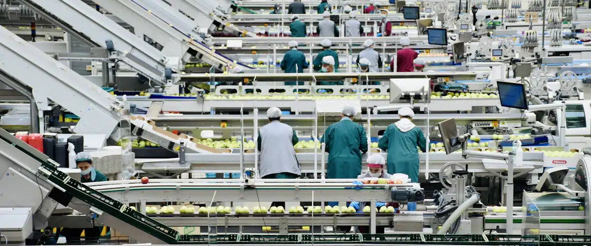 Inteligencia artificial: qué es, cómo funciona y cómo transforma empresas y empleo 6 Personal de industria alimentaria supervisando cintas de clasificación de fruta en fábrica