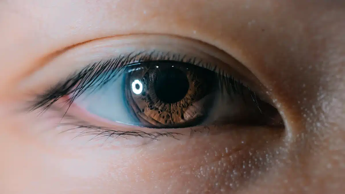 Lentes de contacto: tipos, cuidados y claves para gestionar una óptica 2 Primer plano de un ojo marrón durante la evaluación de lentes de contacto