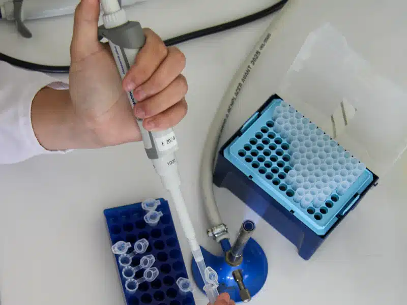 Ensayos clínicos: fases, objetivos y desarrollo de nuevos medicamentos 3 Técnico de laboratorio utiliza una micropipeta para preparar pequeñas muestras líquidas