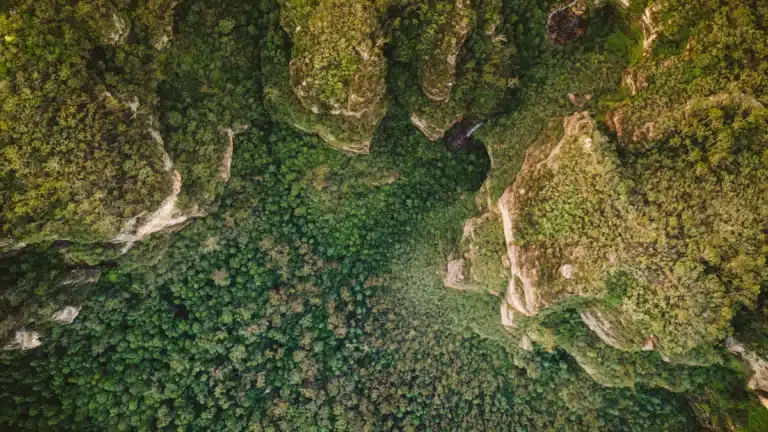 Vista aérea de bosque de montaña para gestión forestal y del medio natural