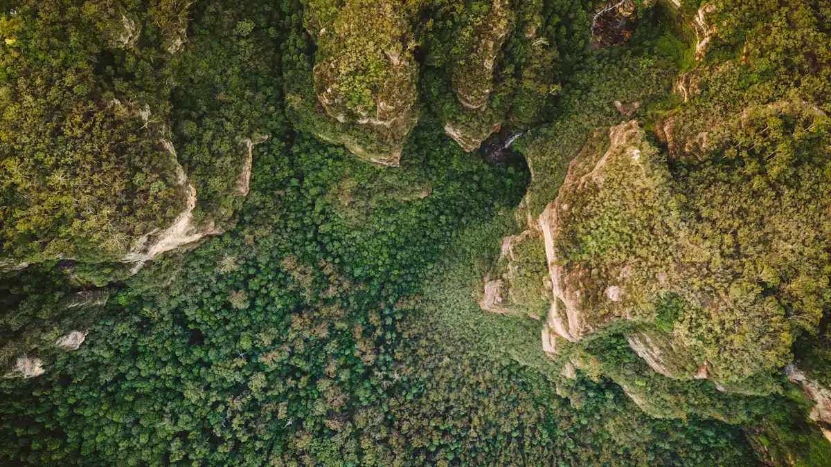 Gestión forestal y del medio natural: 7 claves para avanzar 2 Vista aérea de bosque de montaña para gestión forestal y del medio natural