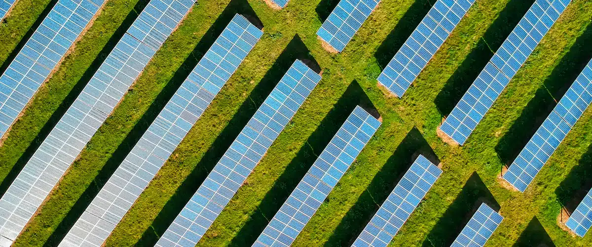 Educación ambiental: qué es, ejemplos y salidas profesionales 7 Vista aérea de paneles solares instalados en una pradera verde